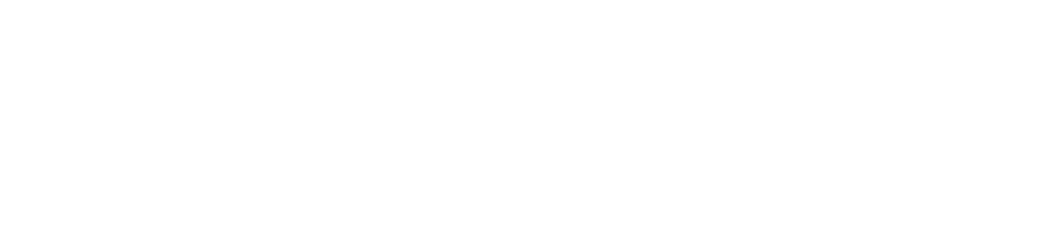 STU Logo